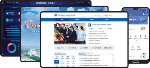 互聯(lián)網(wǎng) 大數(shù)據(jù) ,中衛(wèi)慧通助力陽(yáng)光村務(wù)信息化建設(shè)