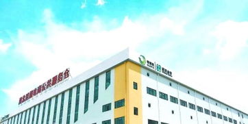 武漢跨境電商企業(yè)出口 免稅 了