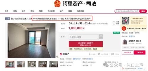 無力償還房貸 沌口核心商業(yè)住宅100萬起拍...