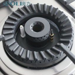 奧力 OLI 21S2 不銹鋼燃氣灶 嵌入式與臺式兼備的高性價比家用灶具